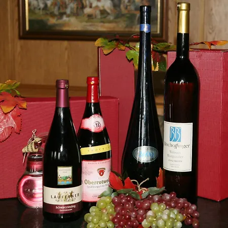 Weinhaus Unger 宾馆